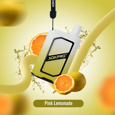 Mesh Coil USB Type-C Vape Pod Rechargeable E Cigarette 17 Flavors