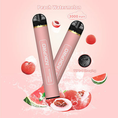 Stainless Steel Mesh Coil Disposable 3000 Puff Vape TYPE-C Charging