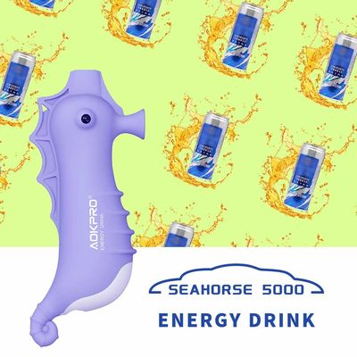 5000 Puff Rechargeable Disposable Blueberry Vape Pods Pen 12ml